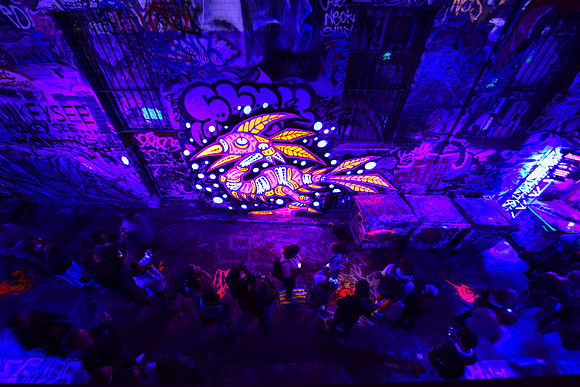White Night Melbourne - 2016