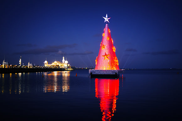 Christmas Tree | Geelong