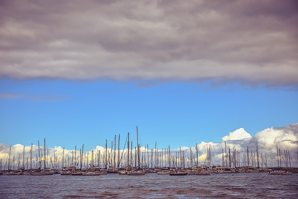 Sandringham Marina